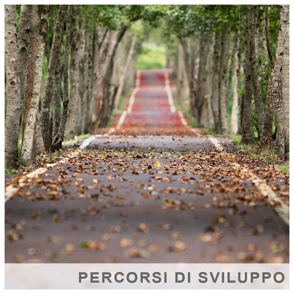 Percorsi di sviluppo
