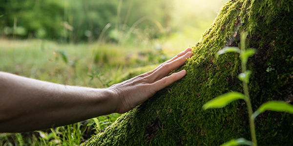 PRODOTTI RESPONSABILI