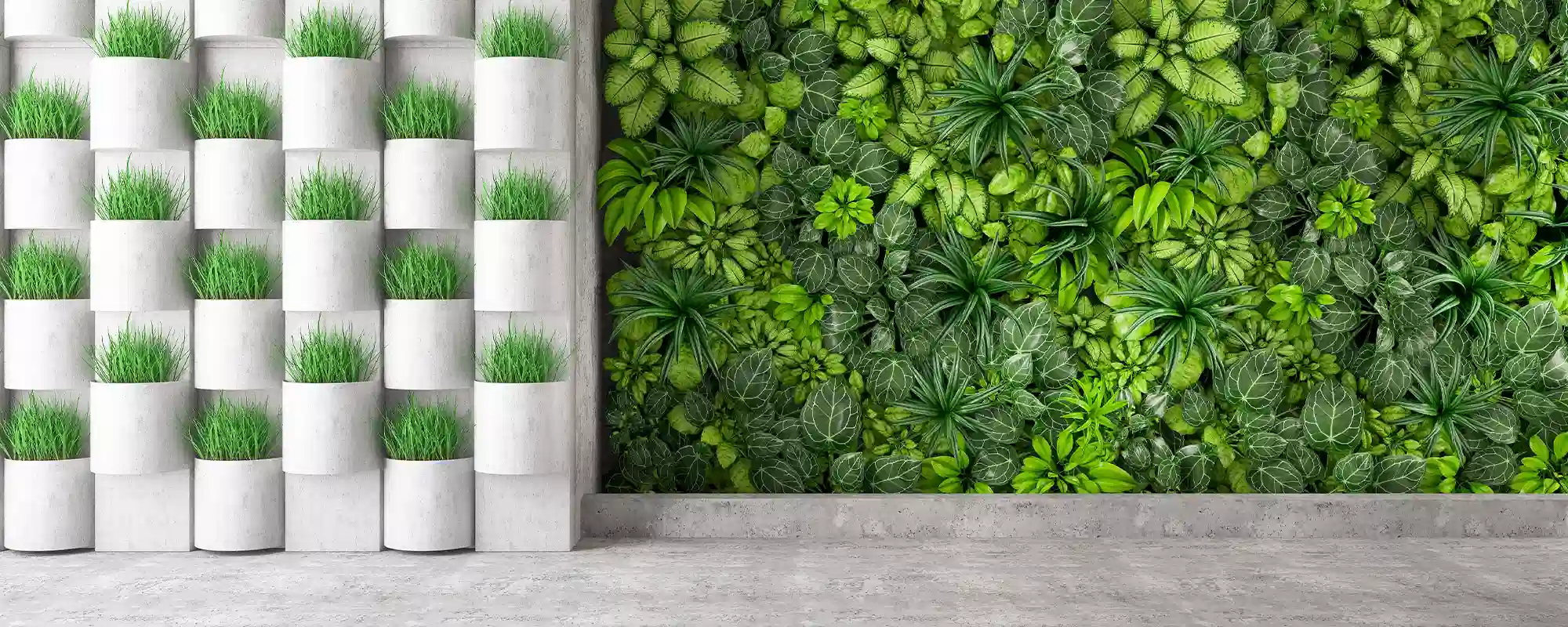Green Wall: Oasi di benessere e produttività negli spazi lavorativi