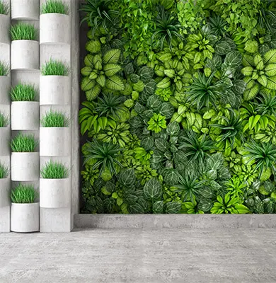 Green Wall: Oasi di benessere e produttività negli spazi lavorativi