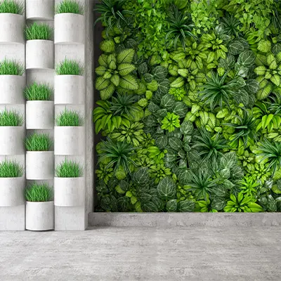 Green Wall: oasi di benessere e produttività negli spazi lavorativi