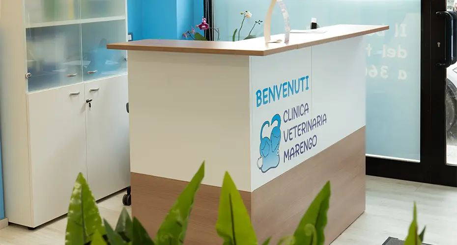 Bancone reception personalizzato Bancone reception personalizzato
