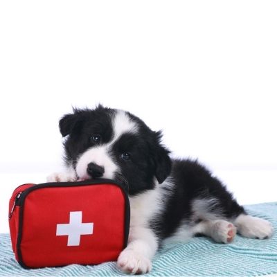 Cassetta pronto soccorso
