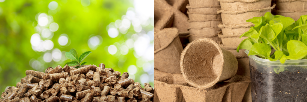 Biomasse e compostabili