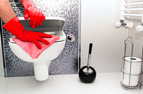 pulizie-toilette