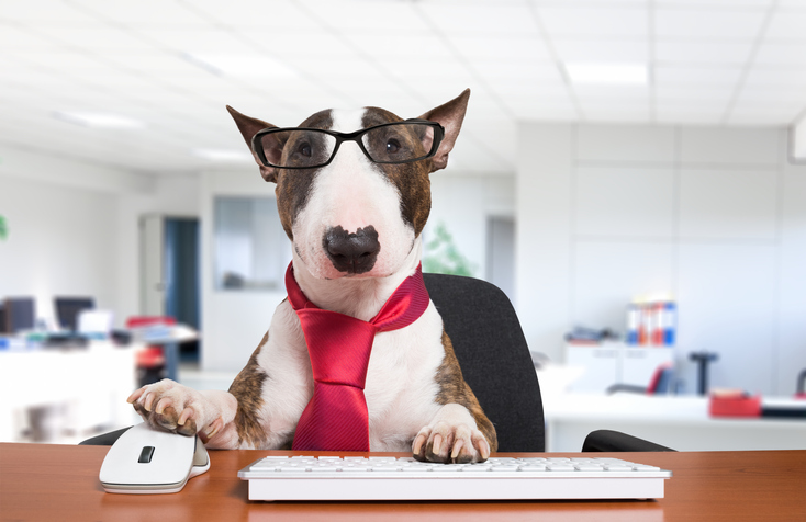 Business dog at work Cane in ufficio