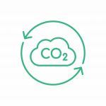 la biodegradazione fa parte del ciclo del carbonio
