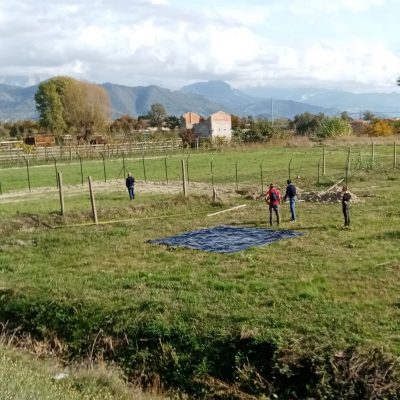naturabilia3 Naturabilia avanzamento lavori