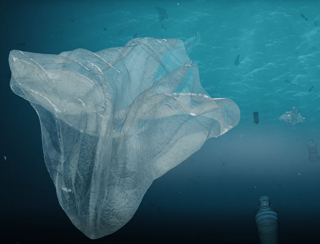 prodotti in plastica riciclata dagli oceani