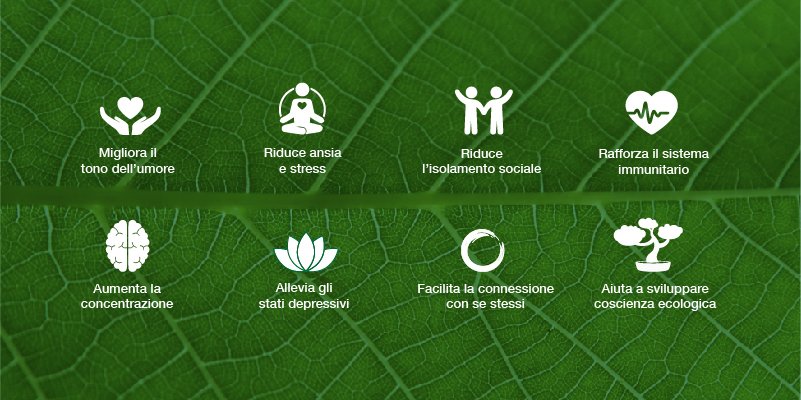 forest_bathing_800x400-02 benefici del forest bathing